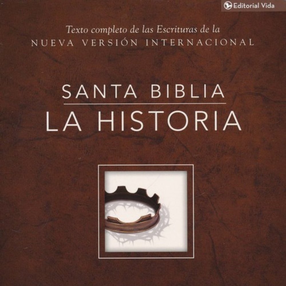 Biblia NVI La Historia, Enc. Dura (NVI The Story: Going Deeper, Hardcover) - NEW